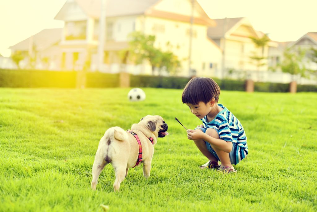 Chinese child with dog