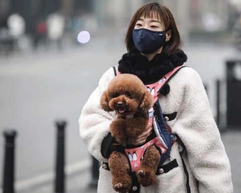 Chinese woman with dog