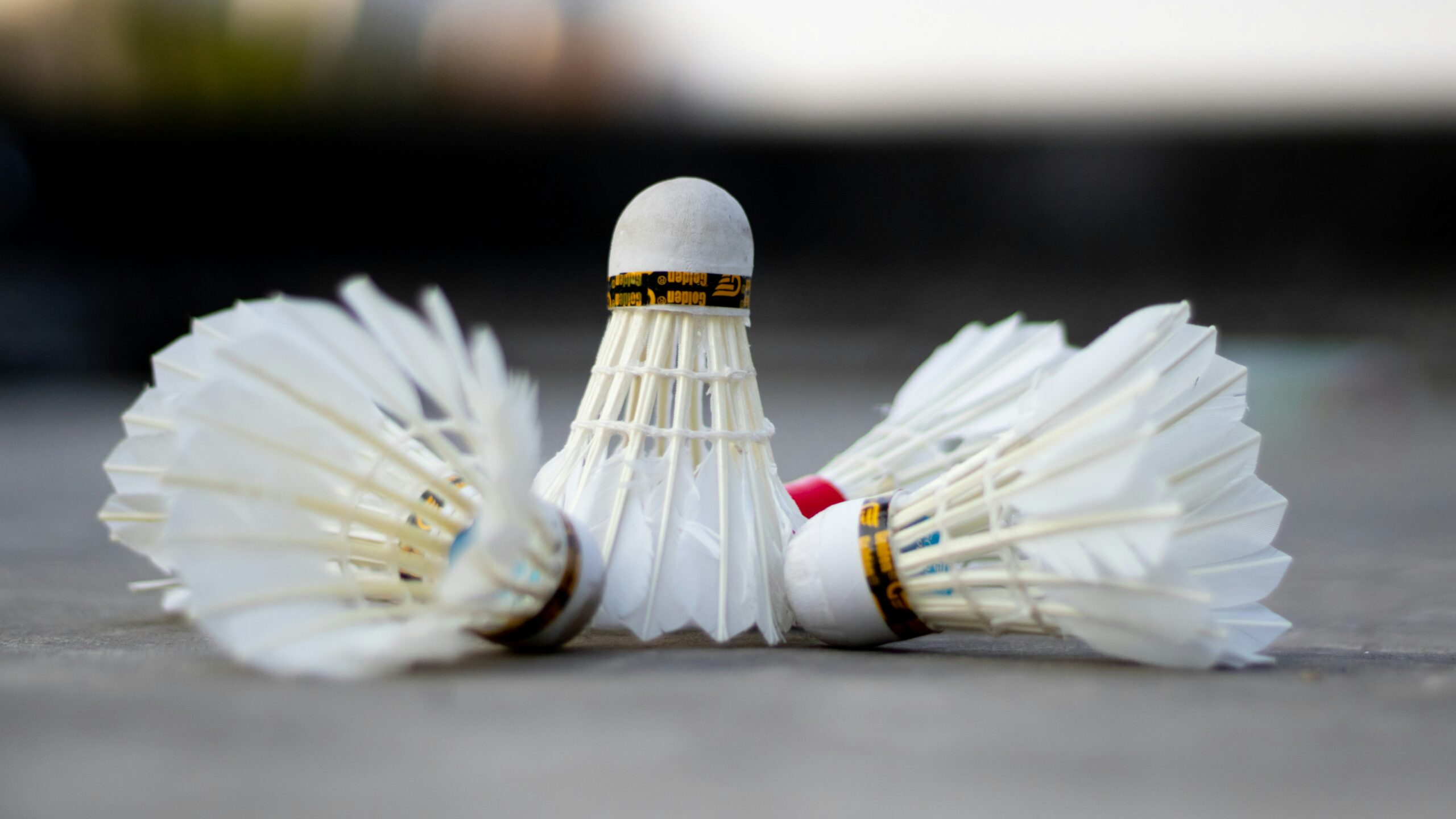 Define shuttlecock online