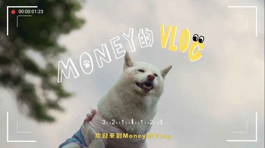 Credit: Gemice/Weibo