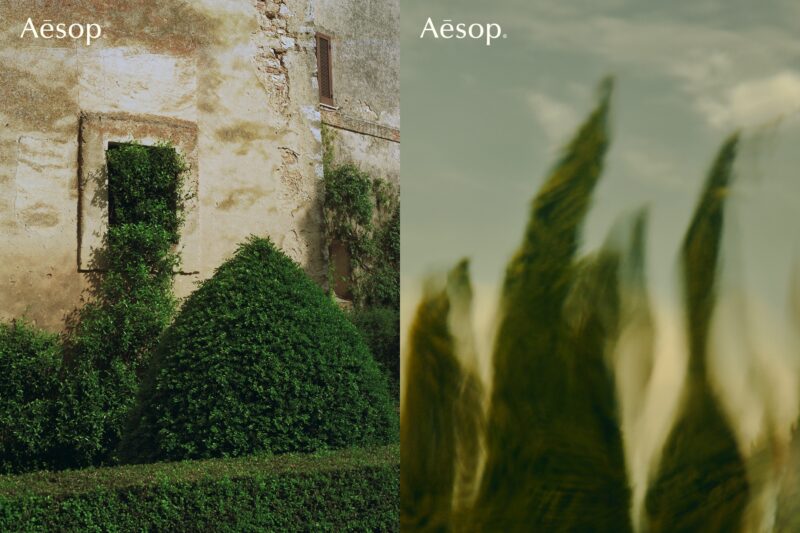 Credit: Aesop/Weibo