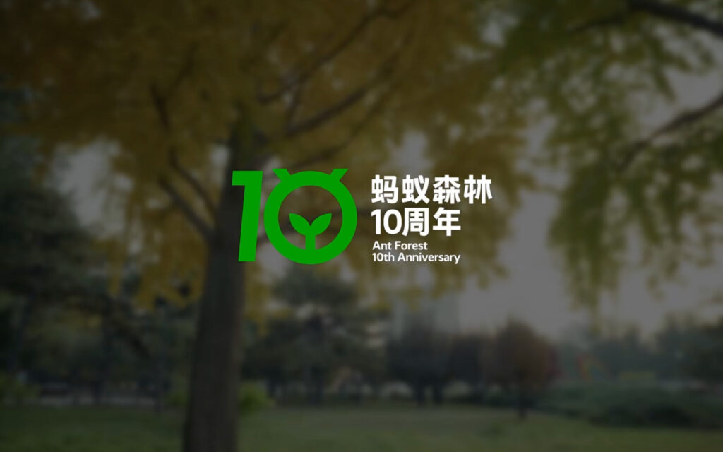 Alipay transplant survivors