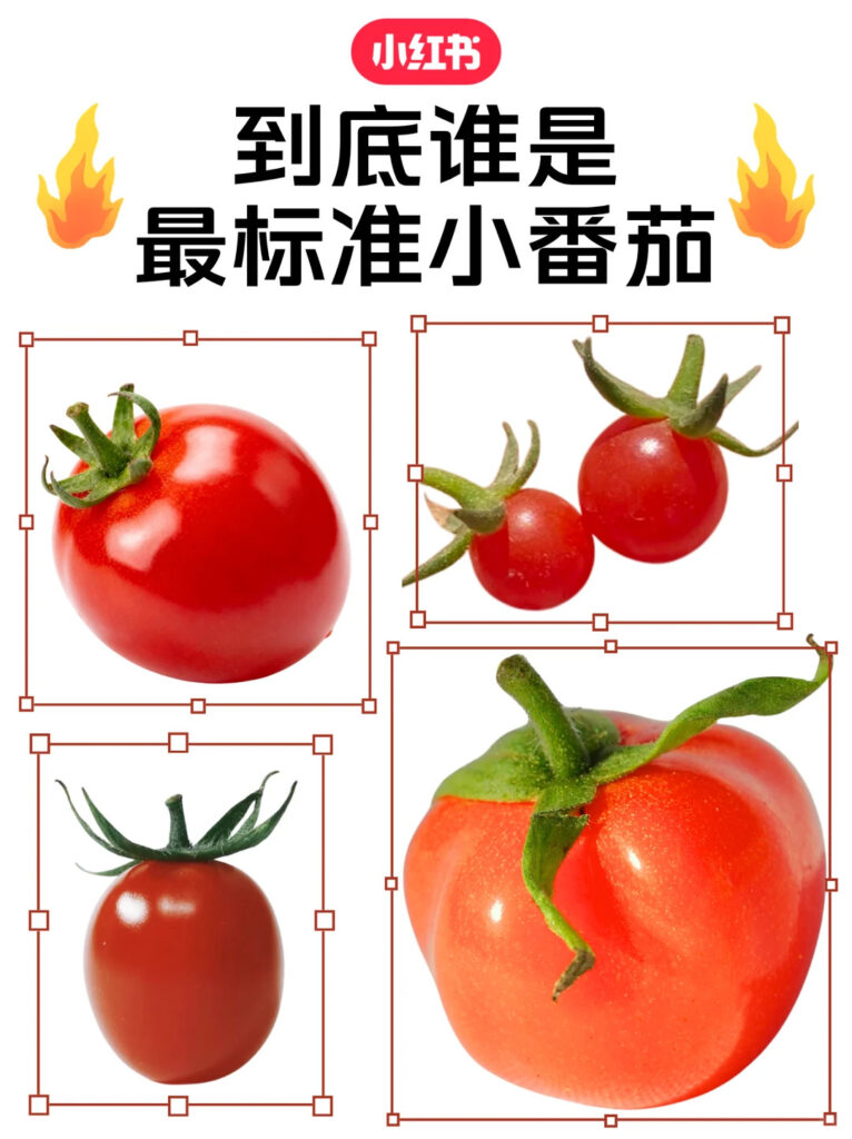 Rednote competitions