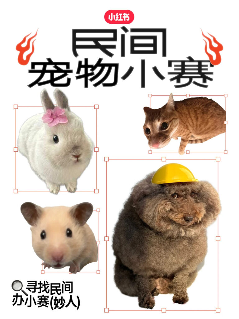 Rednote competitions