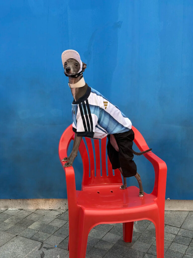 Adidas China World Cup