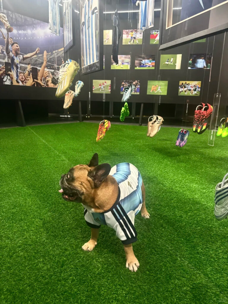 Adidas China World Cup
