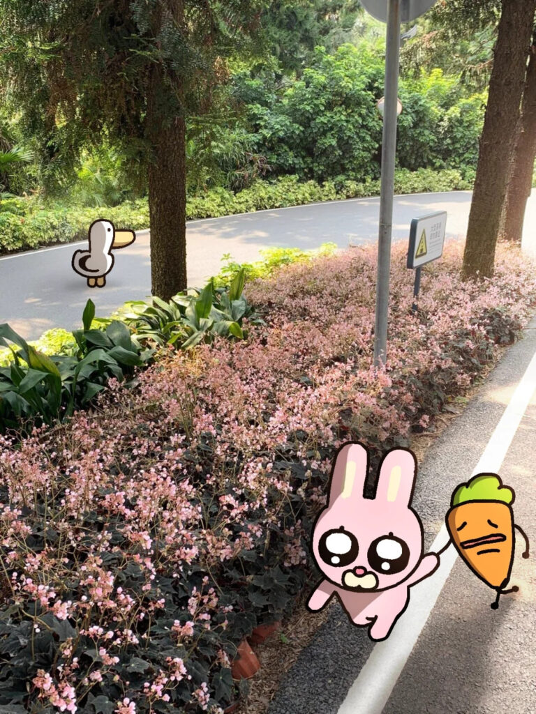 Nanjing IP