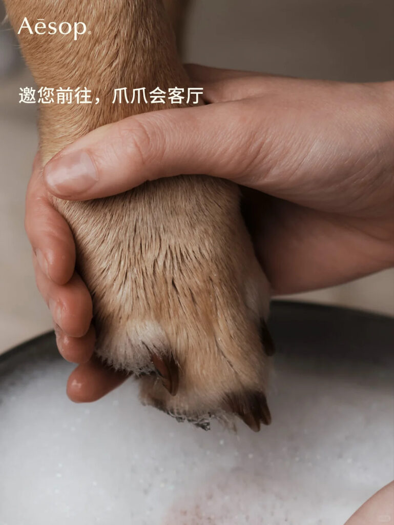 aesop paw wash