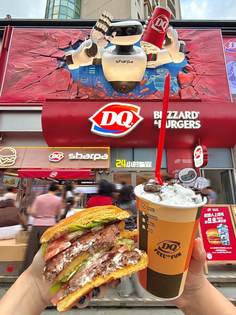 DQ robot 