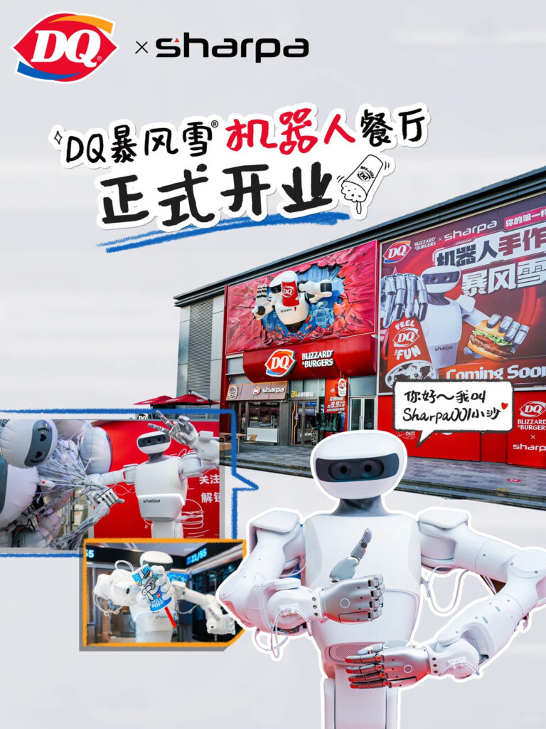 DQ robot 