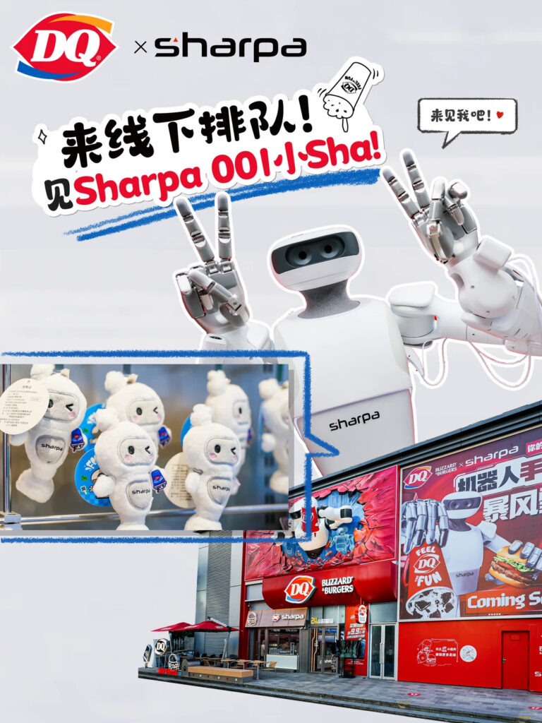 DQ robot 