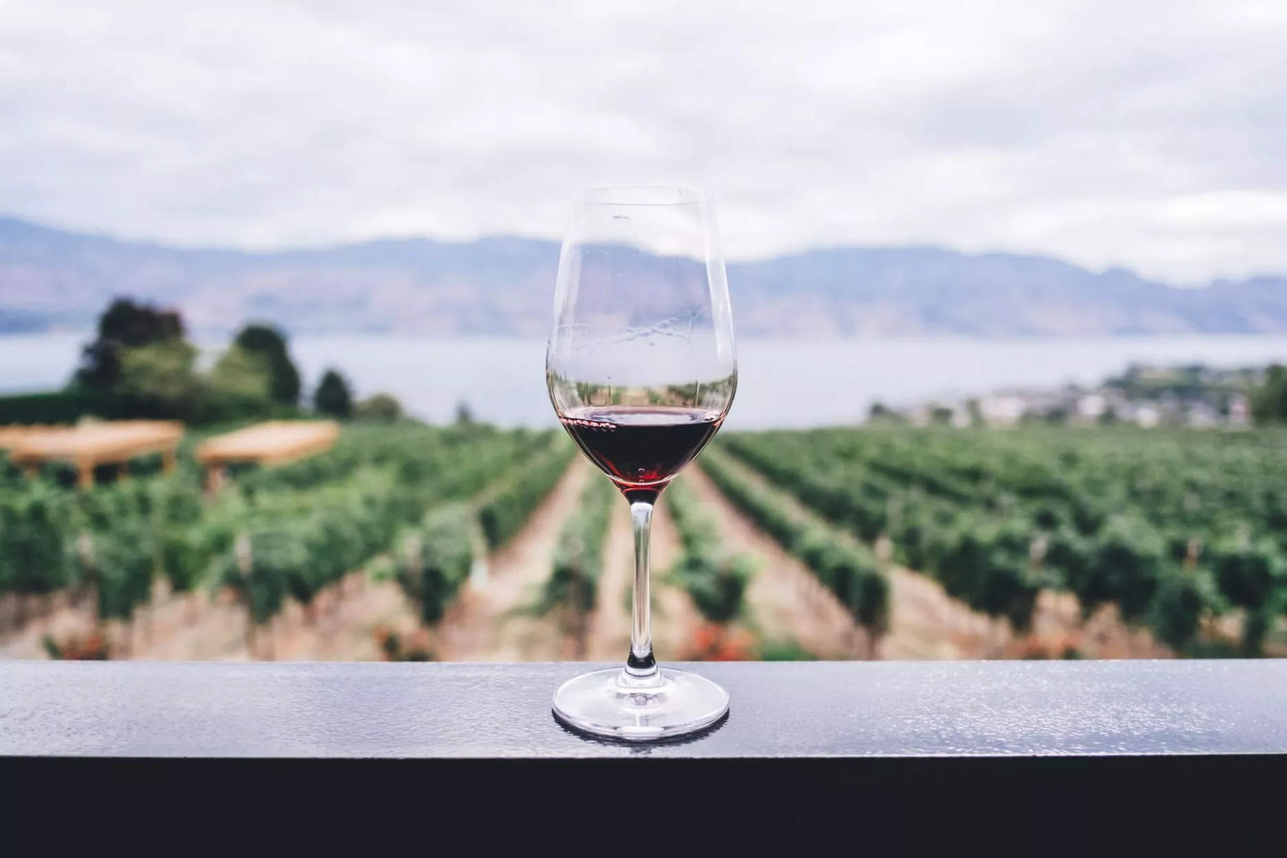 Chilean wine available in Chinese market