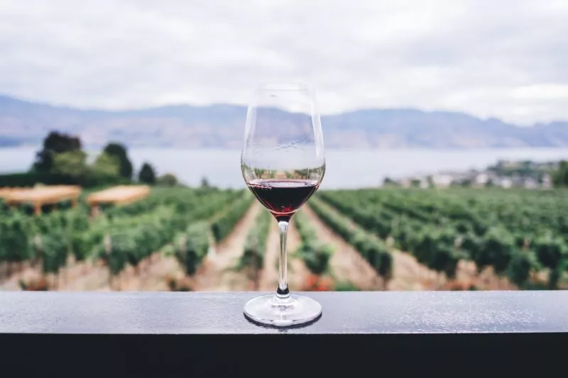 Chilean wine available in Chinese market