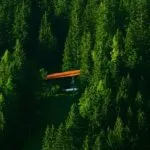 Increase in forest cover in China