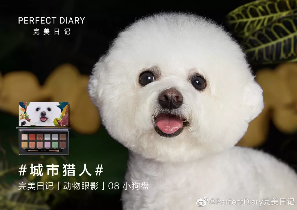 Dog eyeshadow. Credit: Perfect Diary 