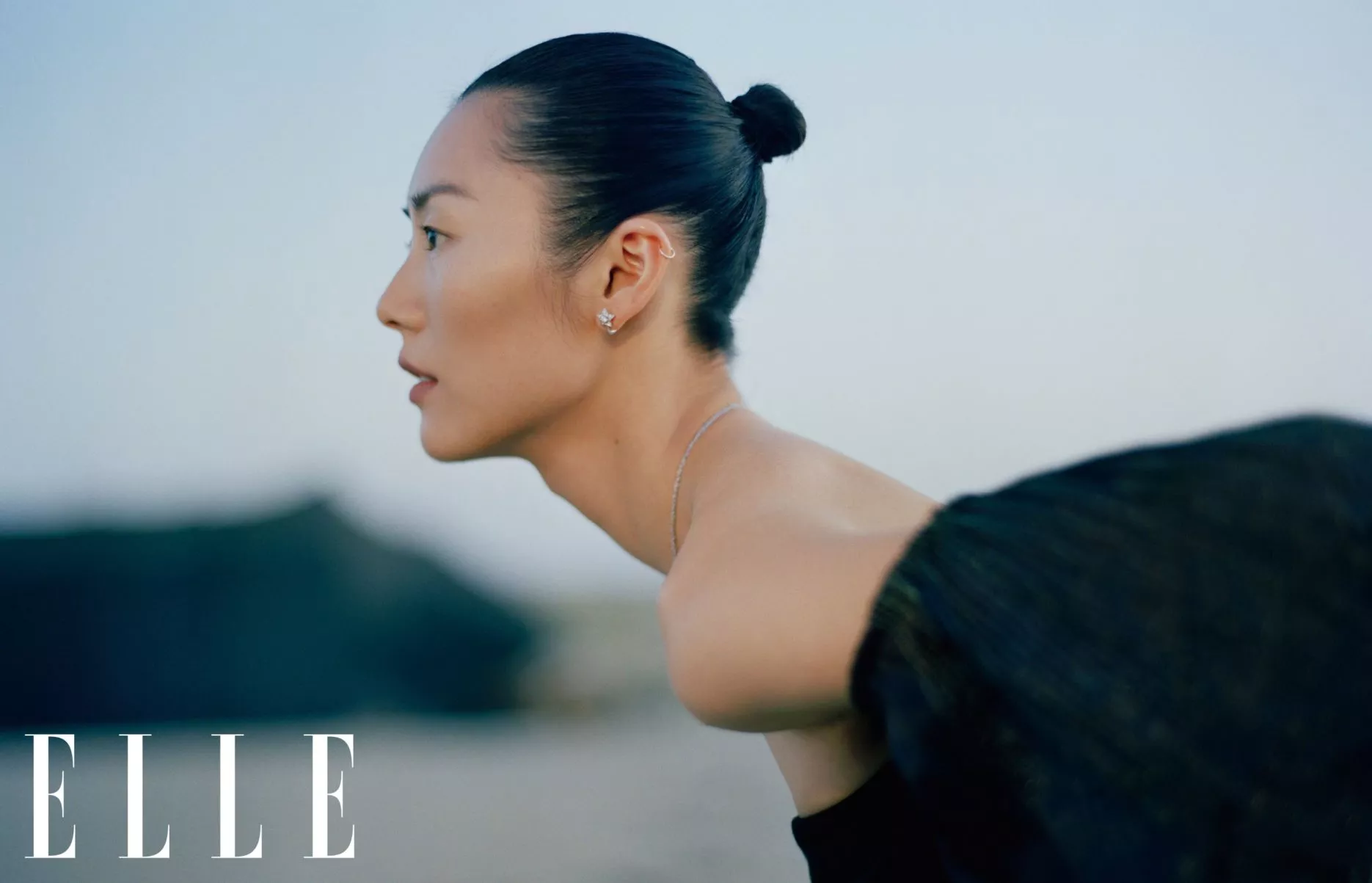 Supermodel Liu Wen. Credit: ELLE