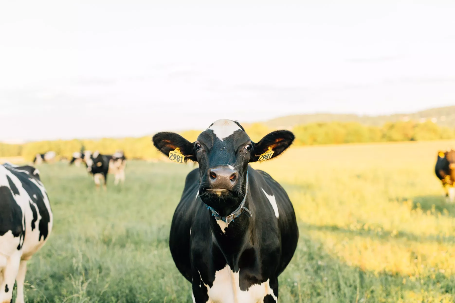 Photo by Kristvn Lapp on Unsplash