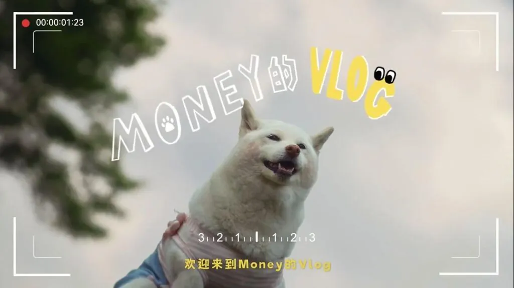 Credit: Gemice/Weibo