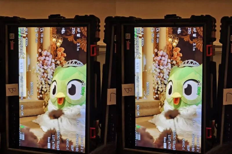 Credit: Duolingo/Weibo