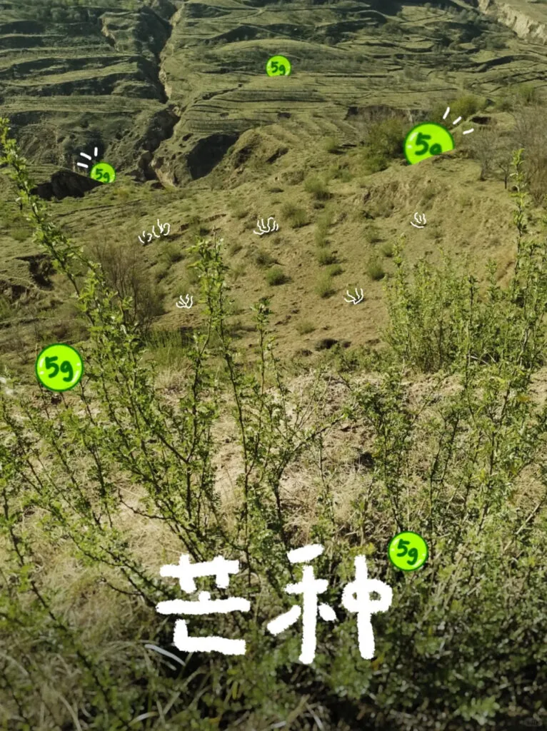 China micro marketing