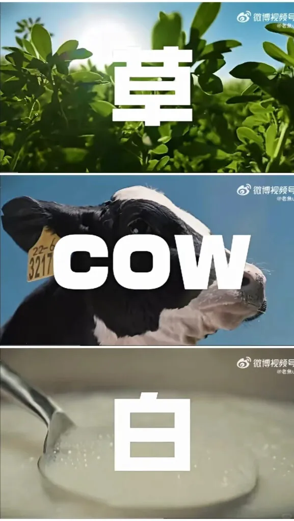 yili ad