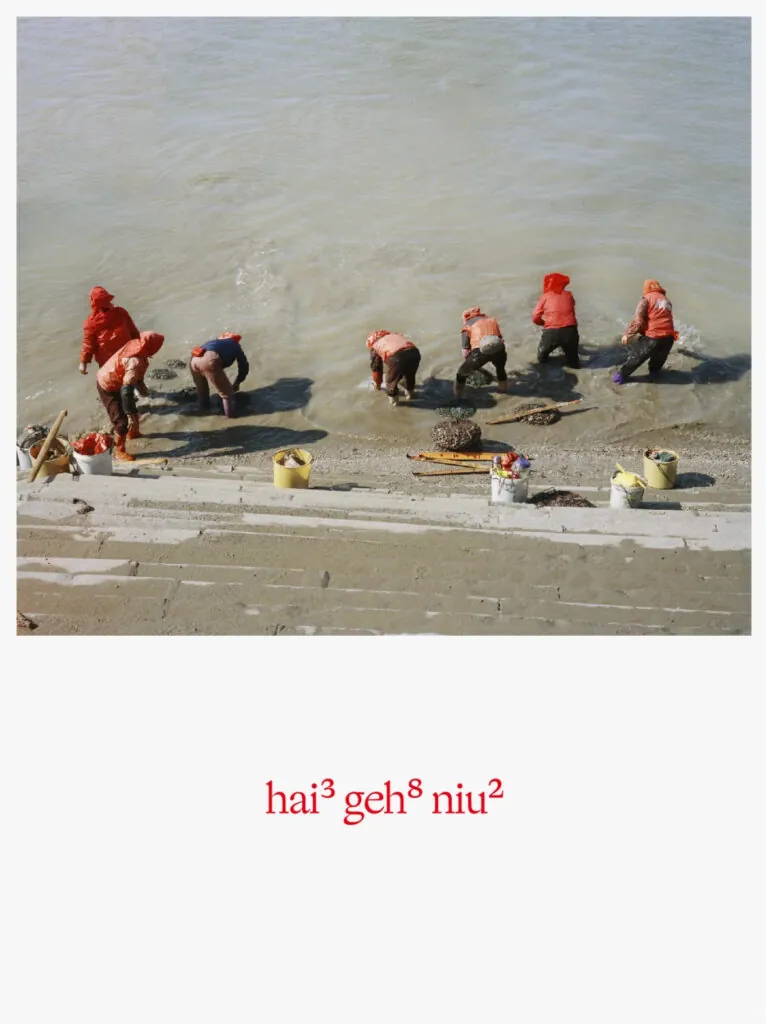 Herbeast Balangyu coffee collab 