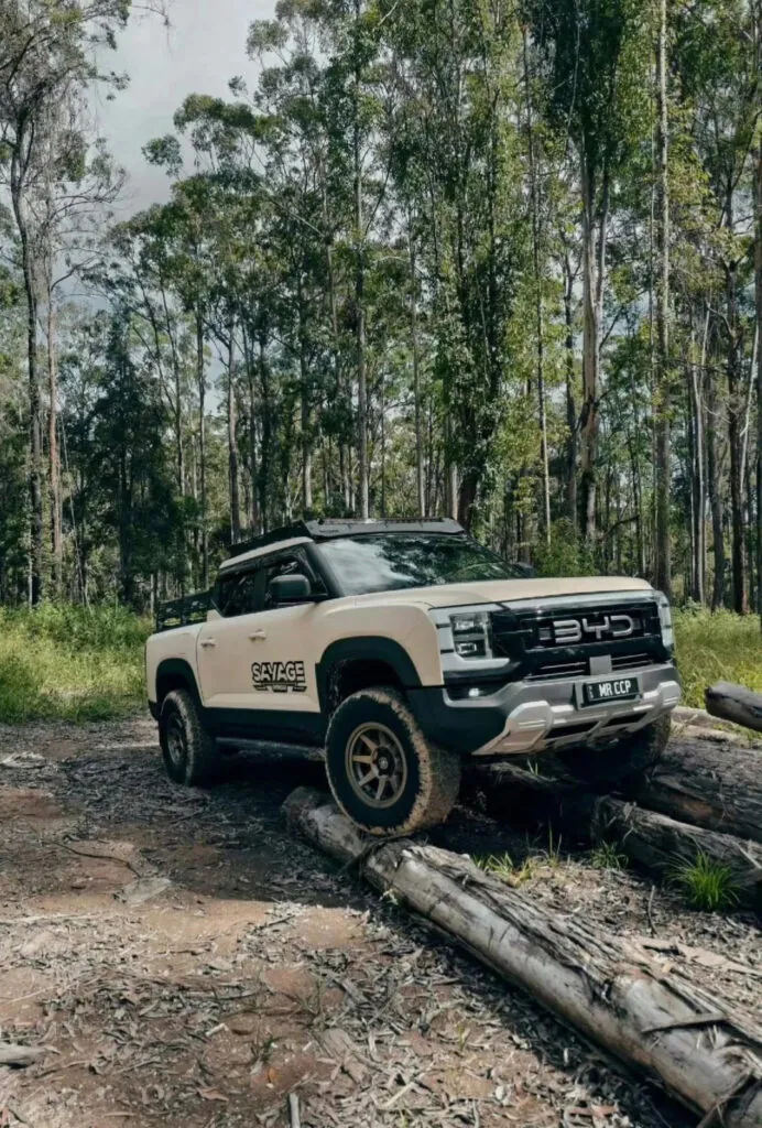 How BYD overtook Tesla