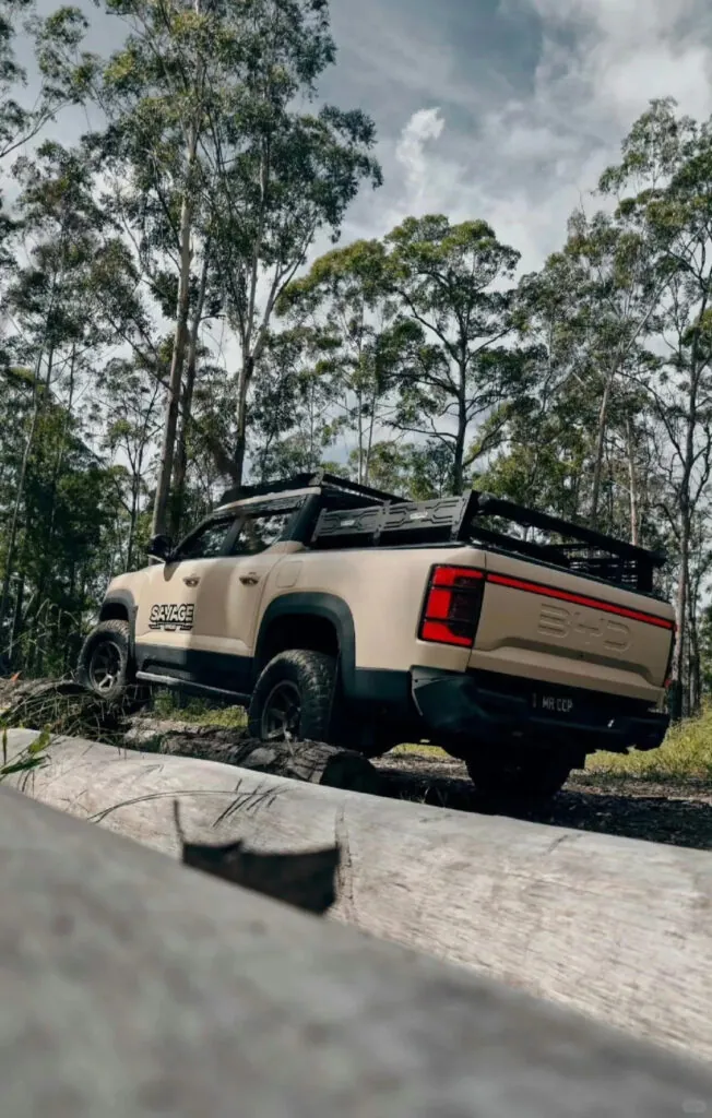 How BYD overtook Tesla