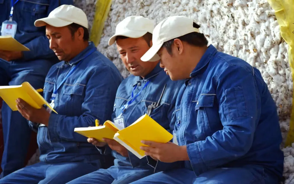 Bananain Xinjiang cotton