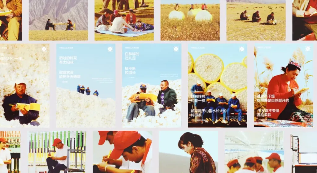 Bananain Xinjiang cotton