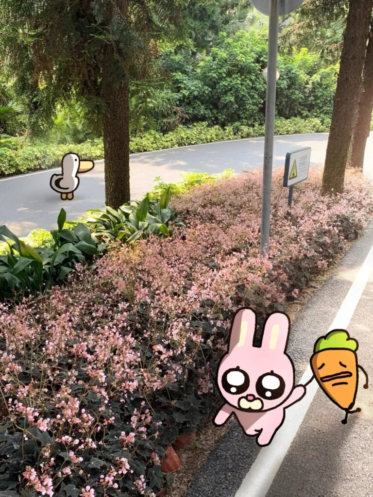 Nanjing IP